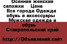 Осенние женские сапожки. › Цена ­ 2000.. - Все города Одежда, обувь и аксессуары » Мужская одежда и обувь   . Ставропольский край